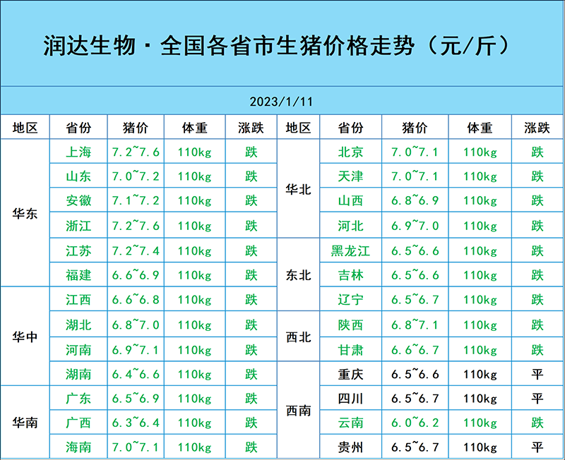 1月12日猪价行情