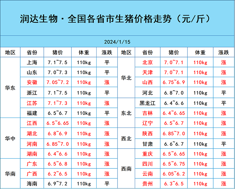 1月15日猪价行情