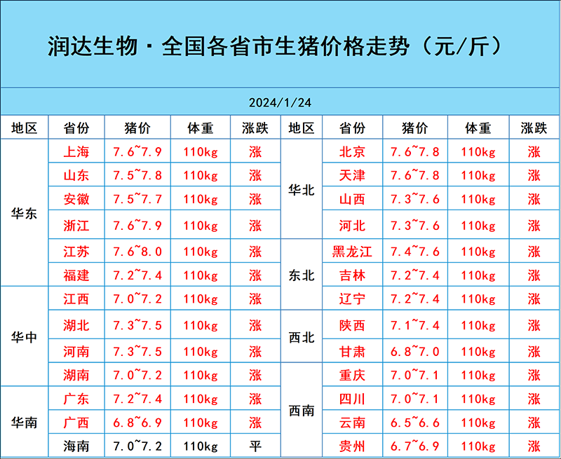 1月24日猪价行情