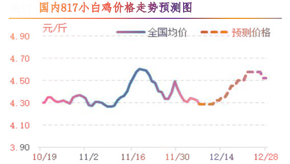 肉鸡市场行情汇总