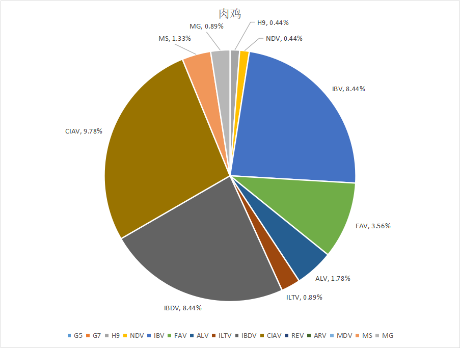  尊龙凯时生物||2023年7月白羽肉鸡疫病检测剖析报告